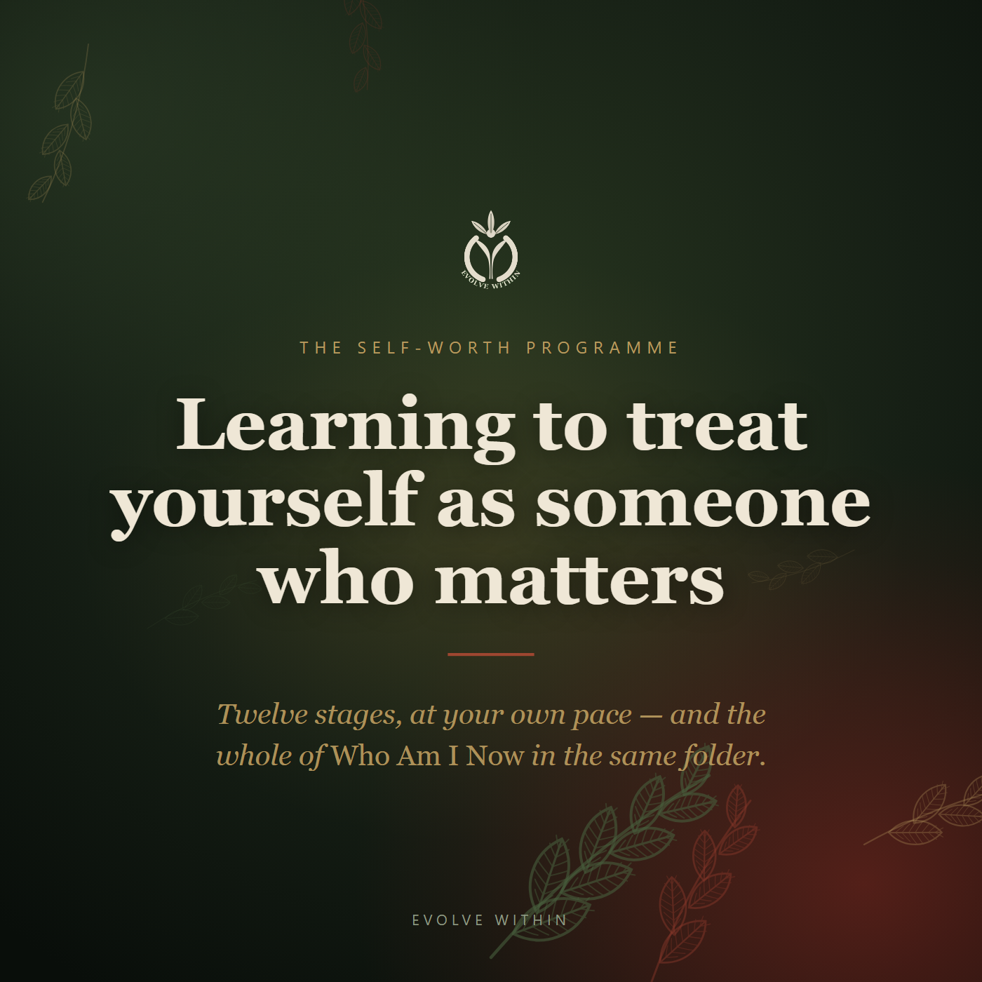 Square dark green cover reading "Learning to treat yourself as someone who matters" — twelve stages at your own pace, with the whole of Who Am I Now in the same folder.