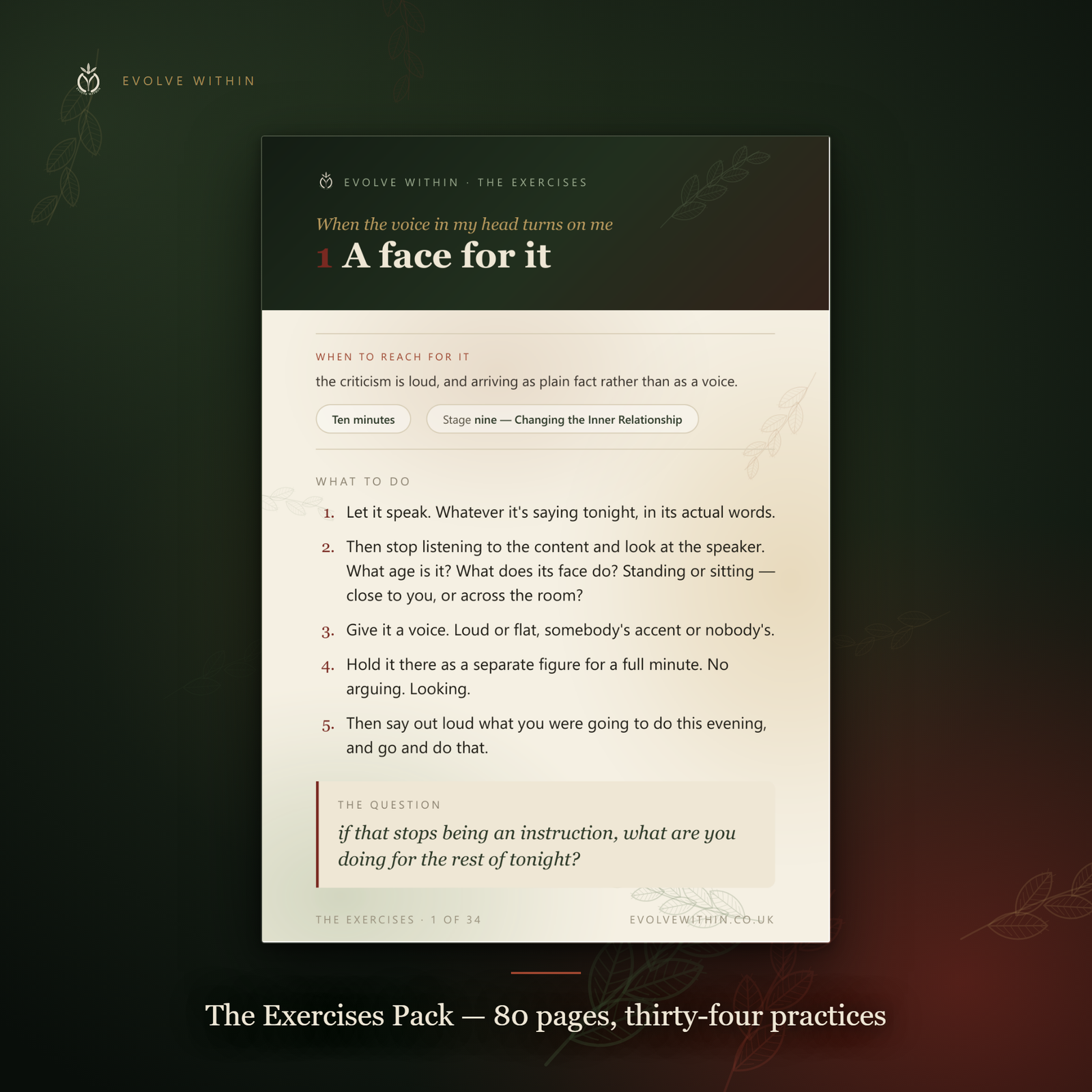 A page from the Exercises Pack — practice one, "A face for it", for when the voice in your head turns on you: ten minutes, five numbered steps, and a closing question.